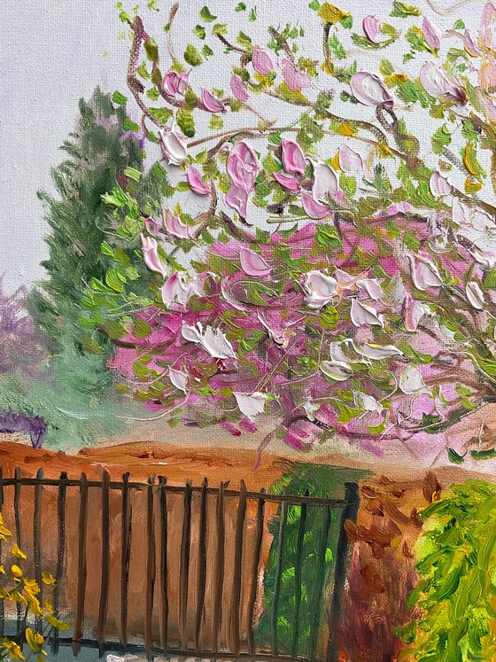 Magnolia in the garden