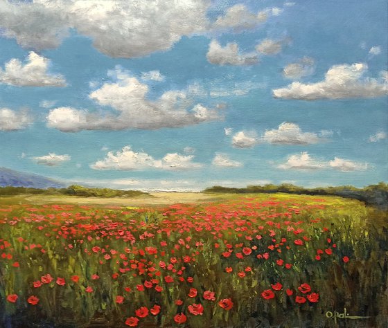 Poppies near the sea