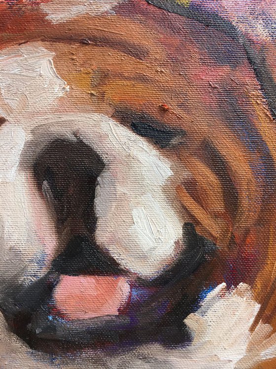 Bulldog painting English bulldog