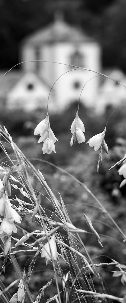 The Pin Mill - Bodnant Gardens by Stephen Hodgetts Photography