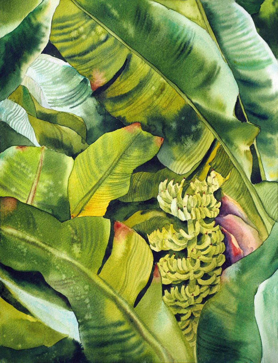 Tropical dream and banana tree by Delnara El