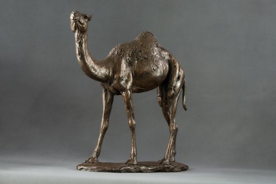 Camel  Bronze Resin sculpture
