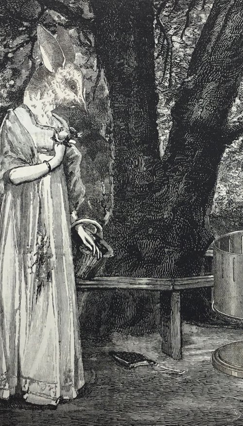 Zoetrope by Tudor Evans