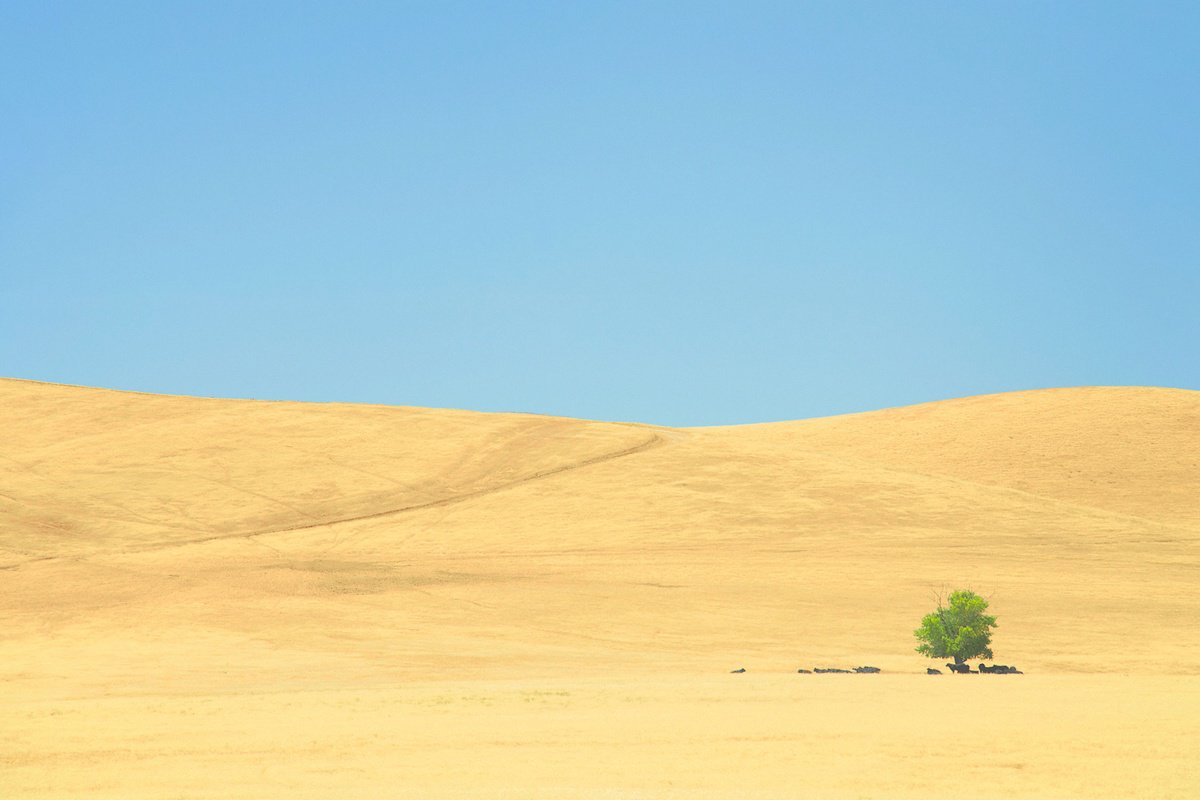 Surrealistic Landscape Photograph By Journey Gong, 25 X 17", High Noon, Original Artwork