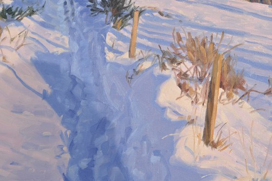 Snowy Path in Mézenc Massif