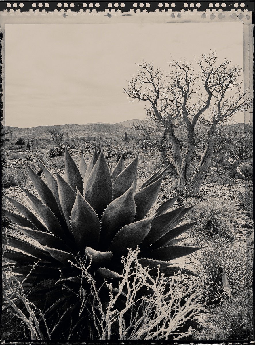 Photorealistic Landscape Photograph By Heike Bohnstengel, 11 X 14, Baja Landscape #1, Original Artwork