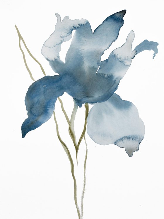 Iris No. 149