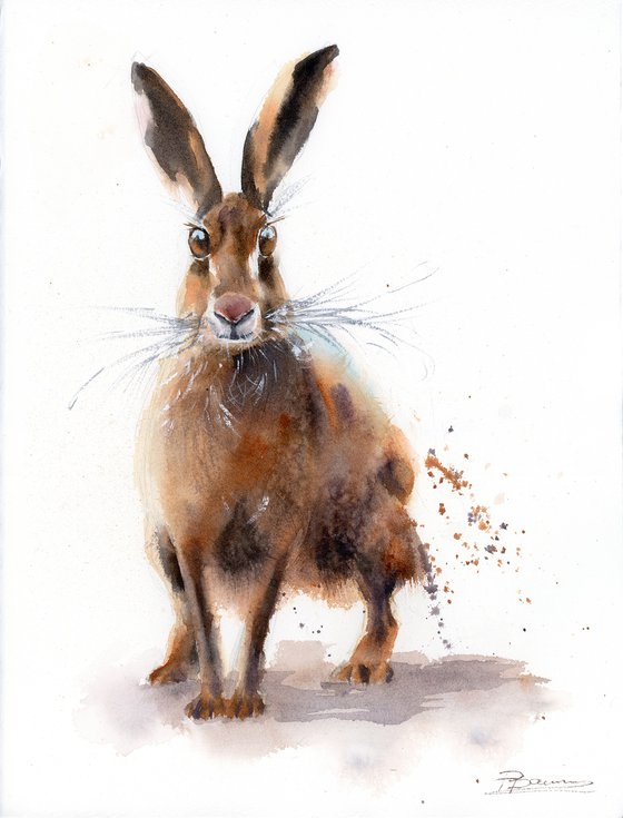 Curious Hare