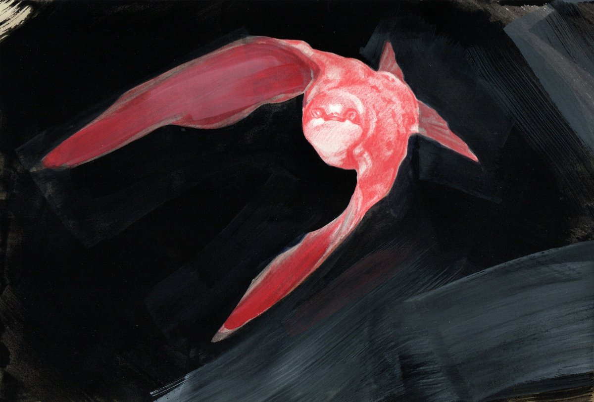 Impressionistic Animal Painting By Kateryna Somyk, 10 X 7", Bird, Original Artwork