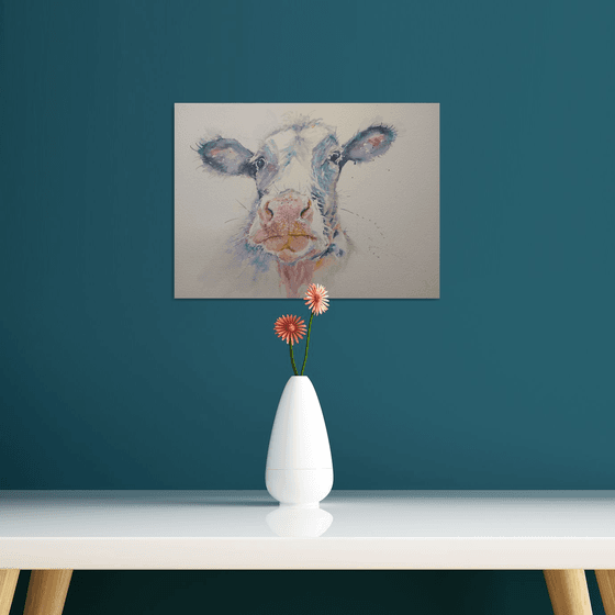 Pretty cow