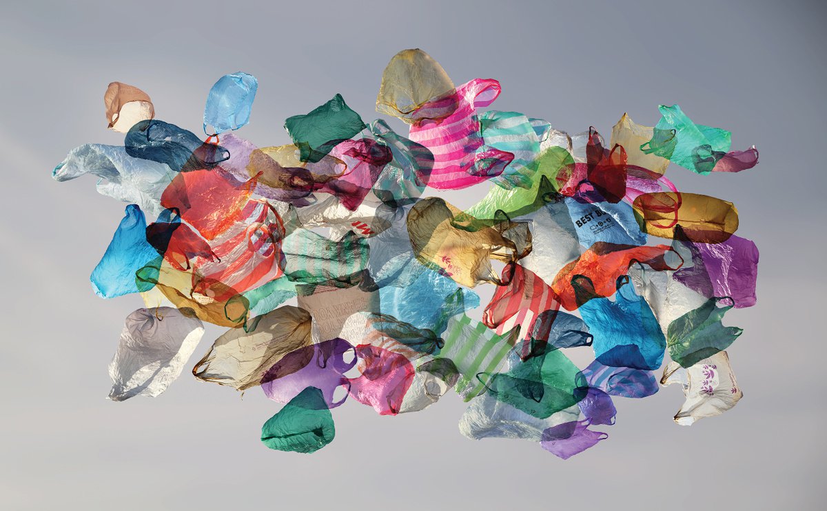 Plastic Bags by Robert Houzar