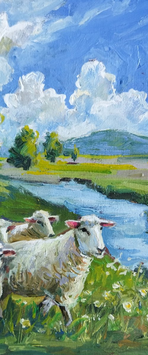 Sheep by River Landscape by Ann Krasikova