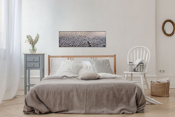 Silent Blossom Drift