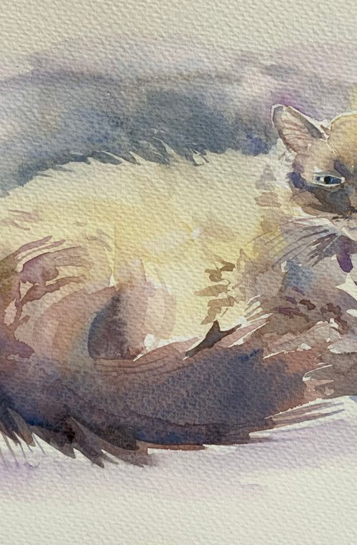 Burmese cat by Mary Stubberfield