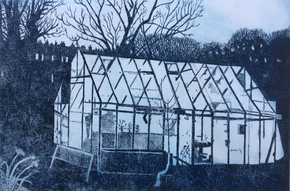 Illustrative Etchings & Engravings , Illuminated By Janis Goodman, 18 X 12, Artwork For Sale On Artfinder