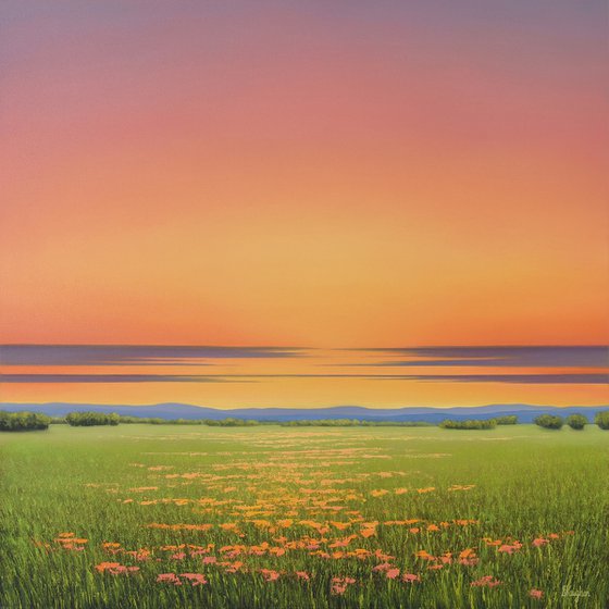 Field of Spring Flowers - Poppy Field Landscape