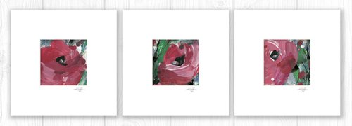 Abstract Floral Collection 8 - 3 Flower Paintings in mats by Kathy Morton Stanion by Kathy Morton Stanion