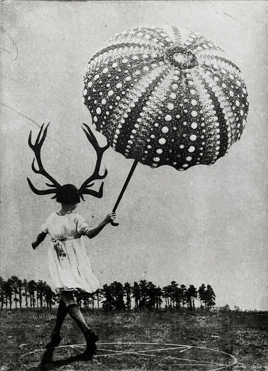 Surrealistic Portrait Etchings & Engravings By Jaco Putker, 8 X 11, The Girl And The Moon, Original Artwork