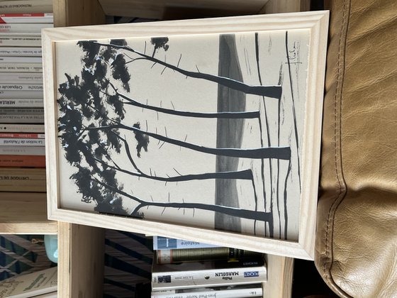 Pinetrees