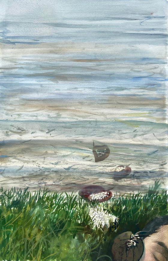 Seashells