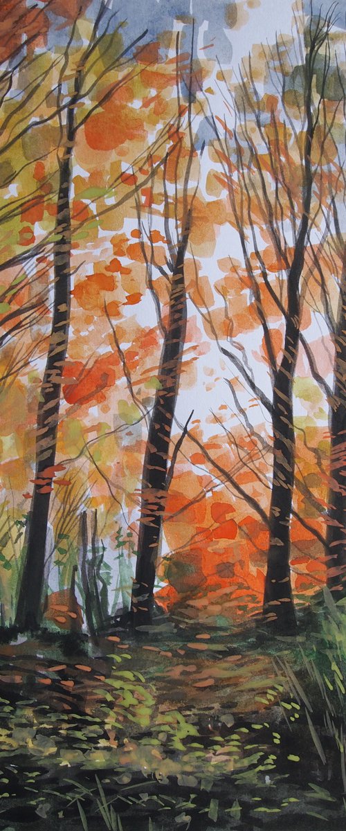 Forest Colours by Kitty  Cooper