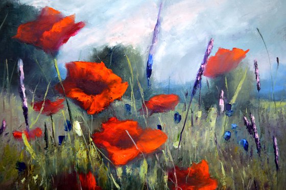 Poppy meadow