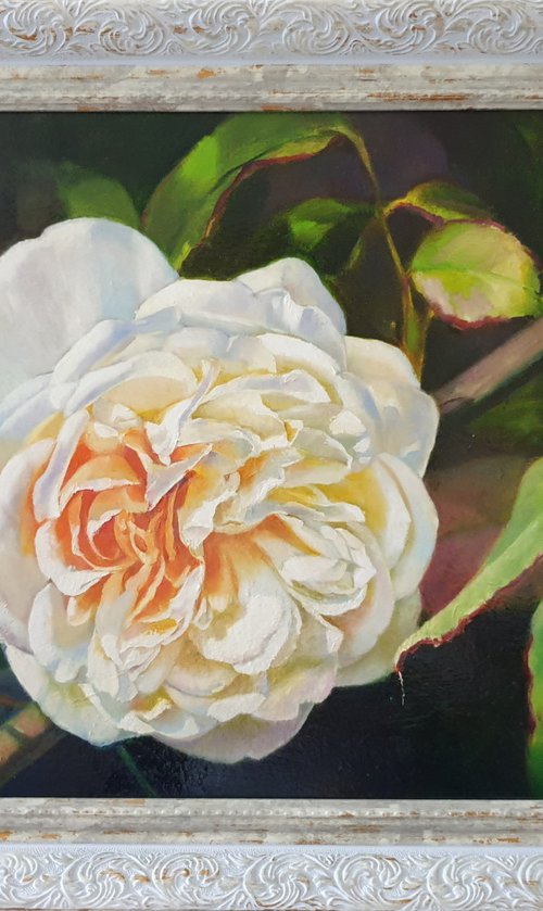 "Lanfren-Lanfra. "  rose flower  liGHt original painting  GIFT (2019) by Anna Bessonova (Kotelnik)