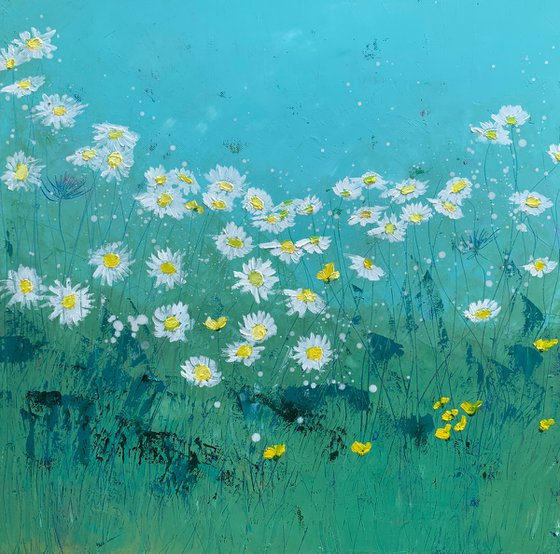 Oxeye Daisies