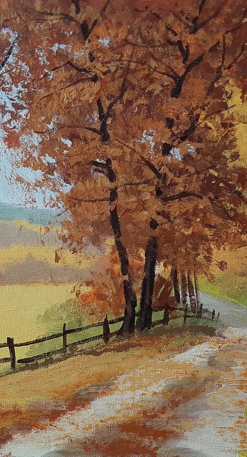 Autumn road by Alen Grbic