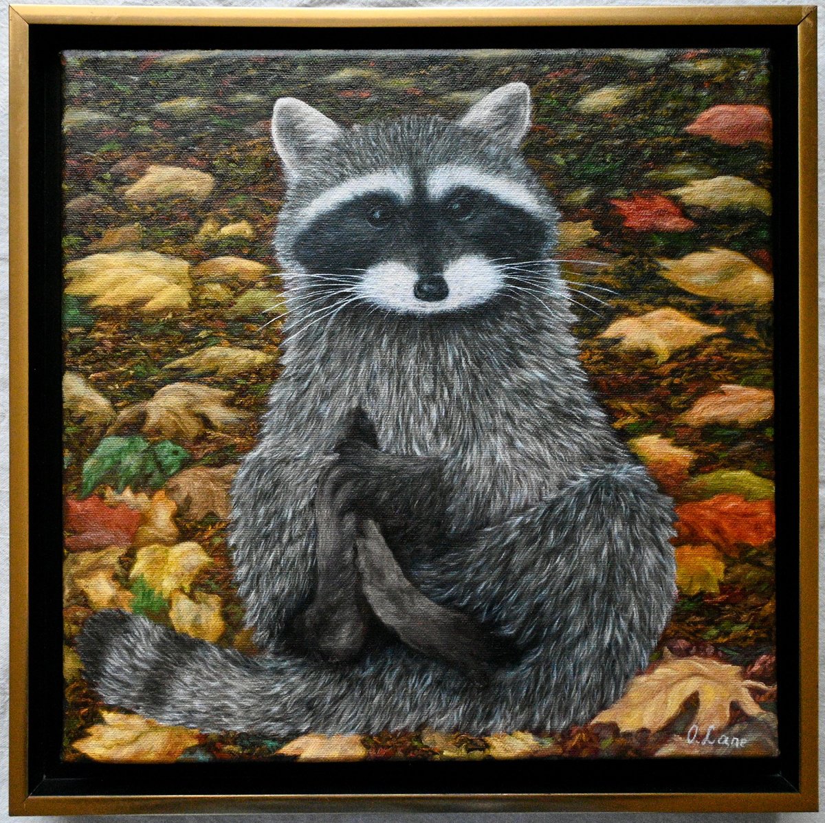 Animal Oil Painting By Olya Lane, 12 X 12", Raccoon, Original Artwork