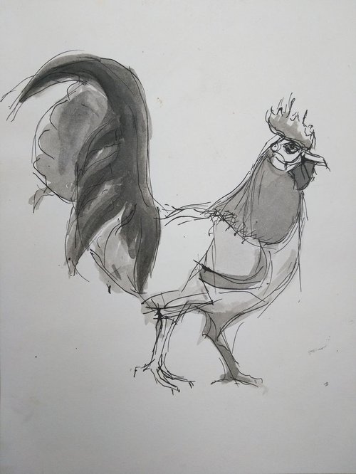 rooster 2 by Sara Radosavljevic