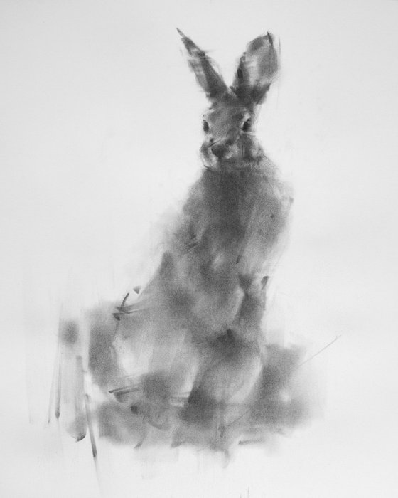 Hare No 4