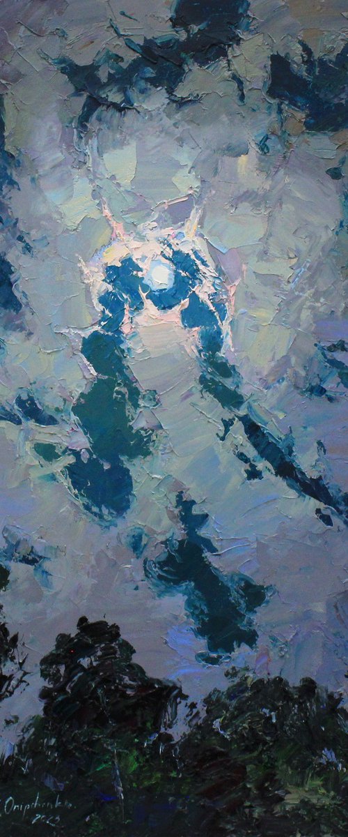 Summer night sky by Alisa Onipchenko-Cherniakovska