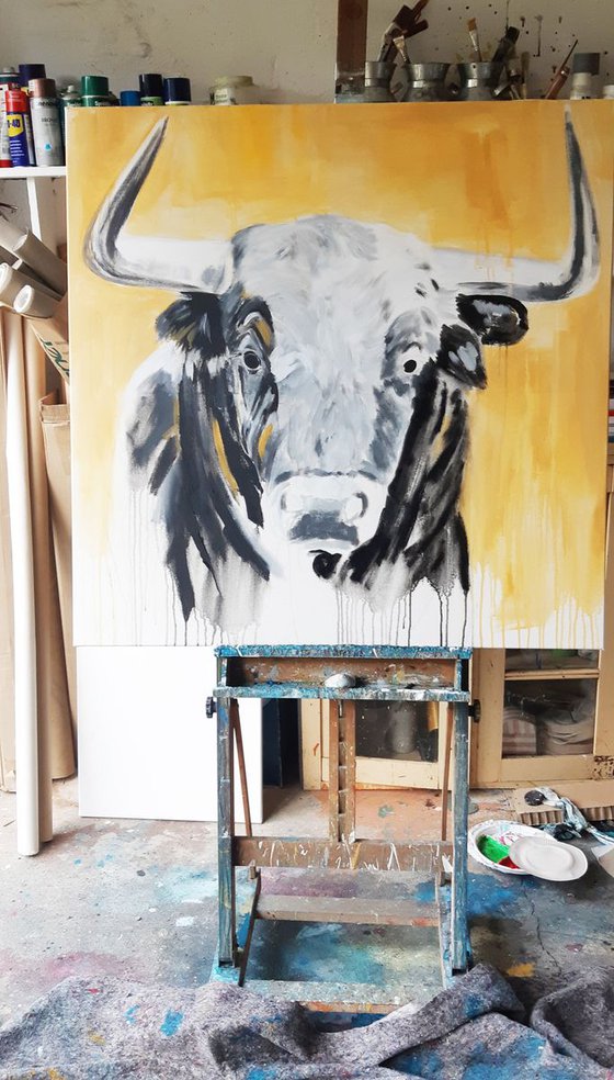 TAURUS #5 – Close up portrait of a bull