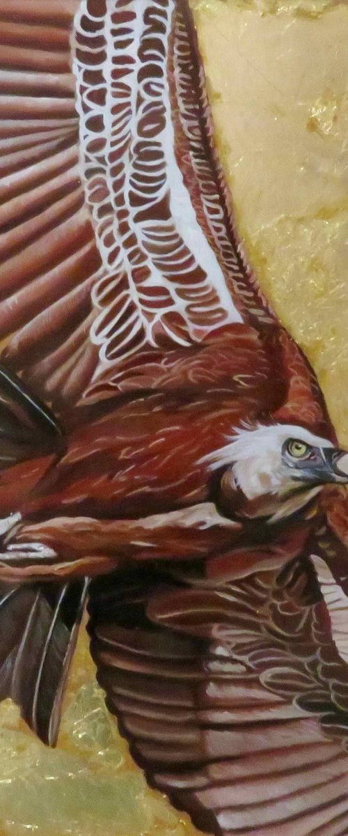 Close-up by Anne Zamo