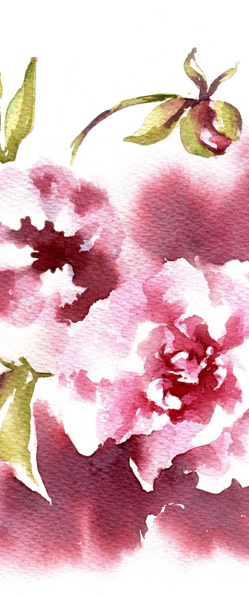 Watercolor sketch "Pink peony flower" by Ksenia Selianko