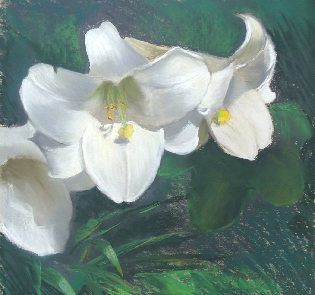 American Lilies by Jennifer Mackay Windle