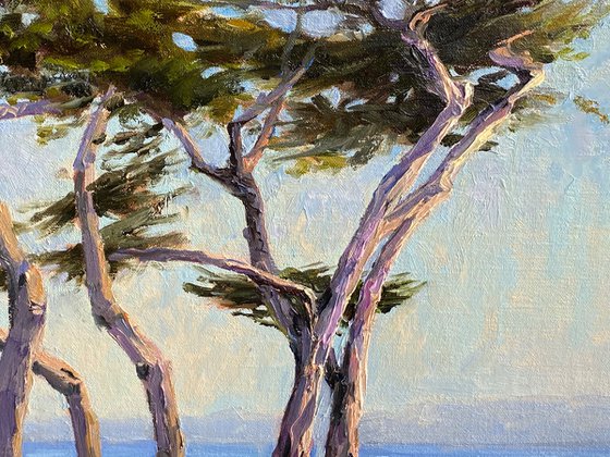 Coastal Cypress Swing Landscape