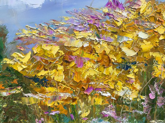 Where Wildflowers Reign