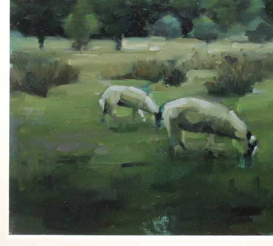 Flock At Rest