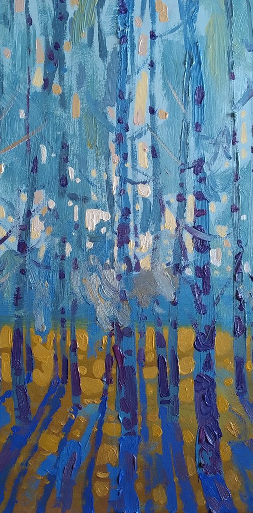 Birch trees by Sergey  Kachin