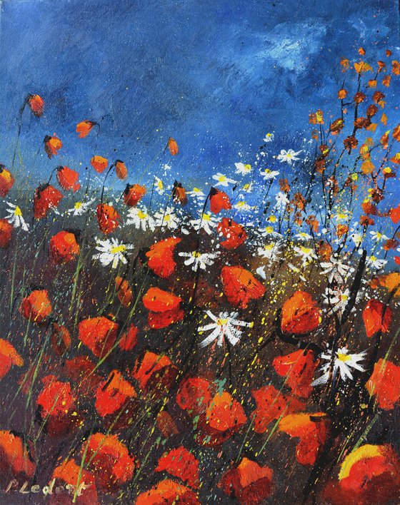 Red poppies