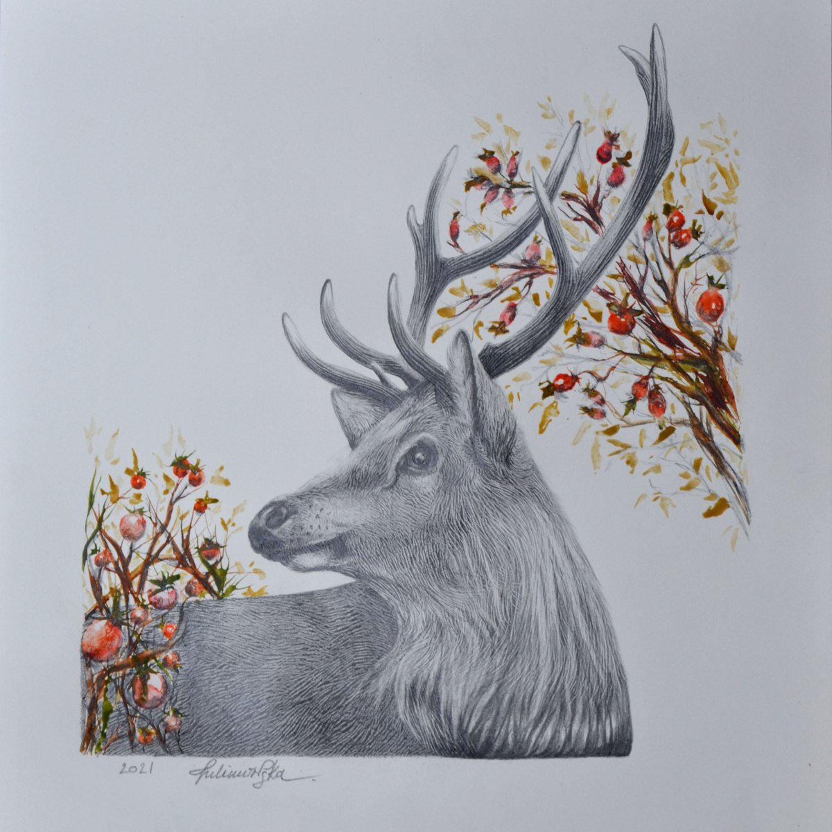 Winter Deer by Maja Tulimowska - Chmielewska