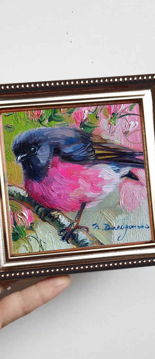Pink Robin bird by Nataly Derevyanko