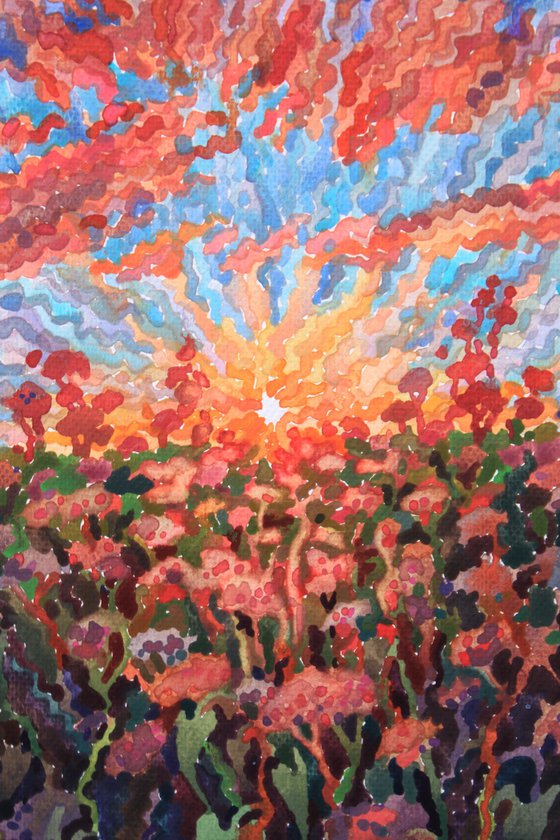 Sunset in the Buckwheat field