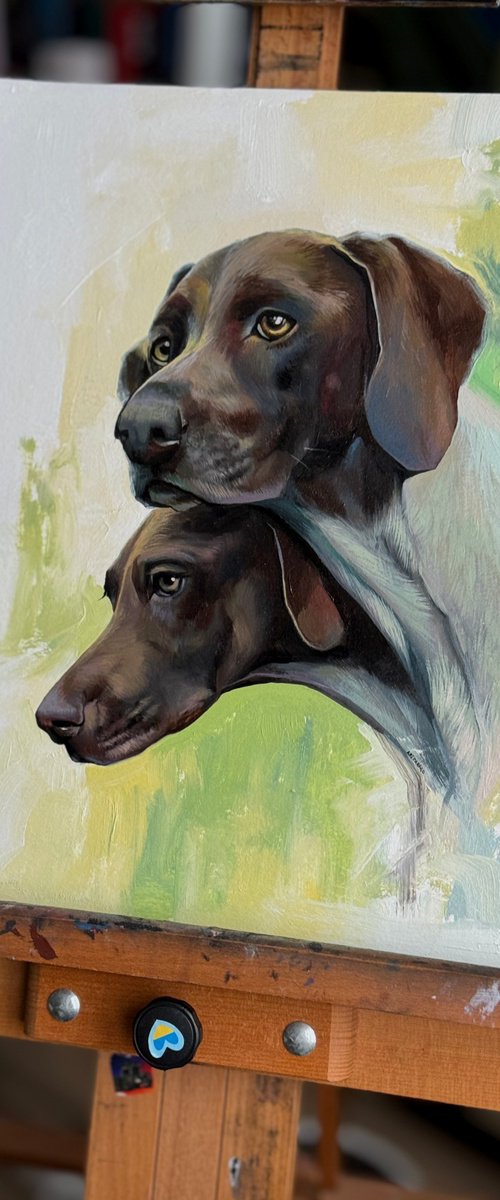 German Shorthaired Pointers by Anastasia Parfilo