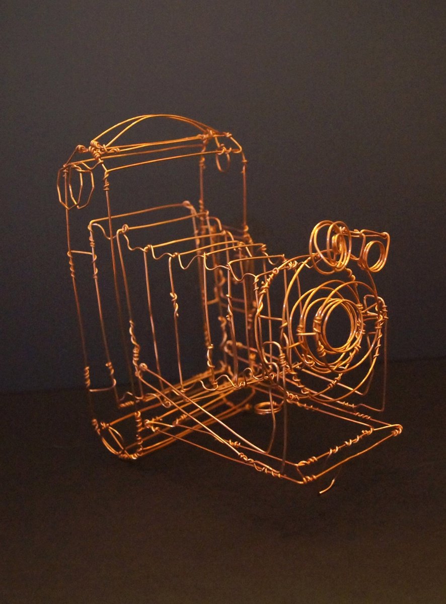 Still Life Sculpture By Jane Tilley, 4 X 6, Kodak Camera Wire Sculpture, Original Artwork