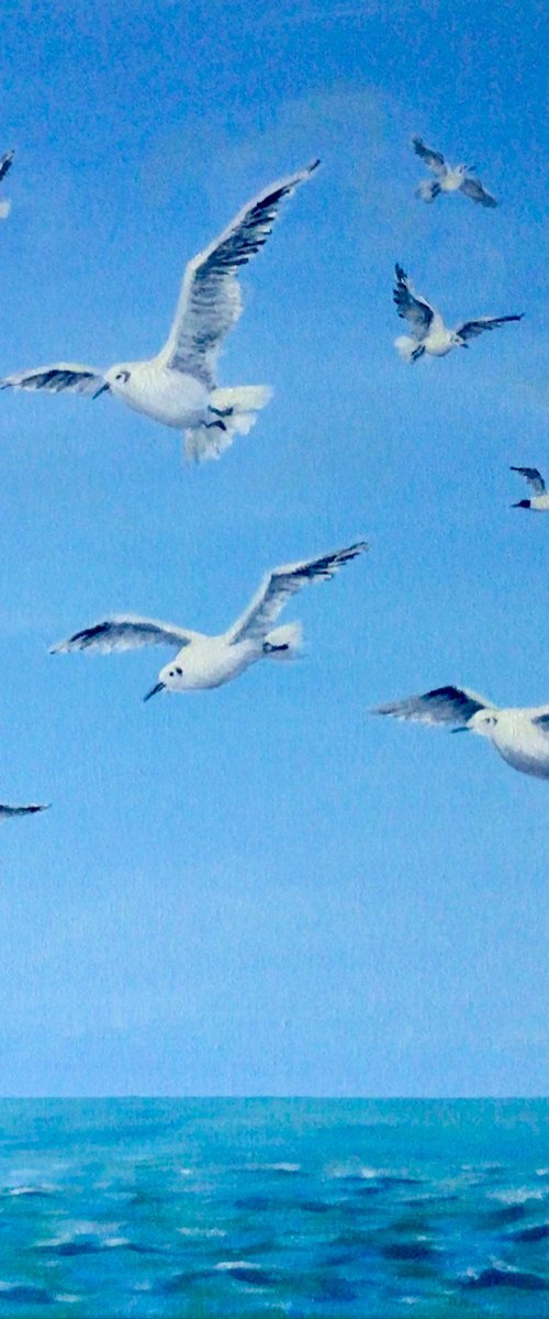 Seagulls Flying Over the Sea by Sandra Francis