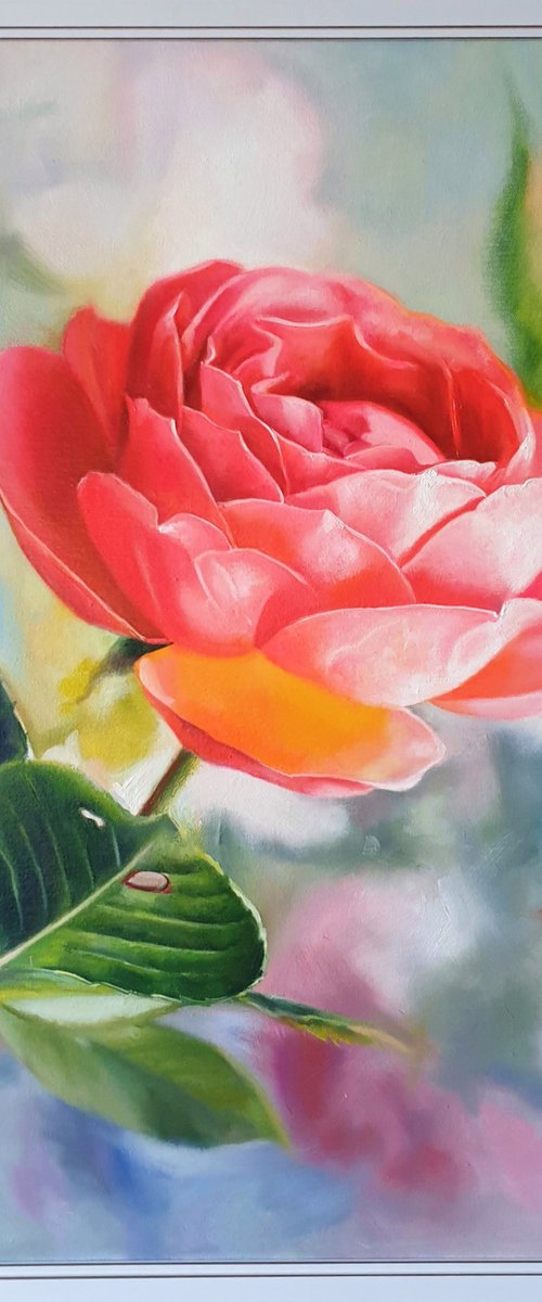 "In the morning in the garden.  "  rose red flower  liGHt original painting  GIFT (221) by Anna Bessonova (Kotelnik)