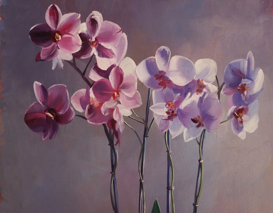 "Orchid"